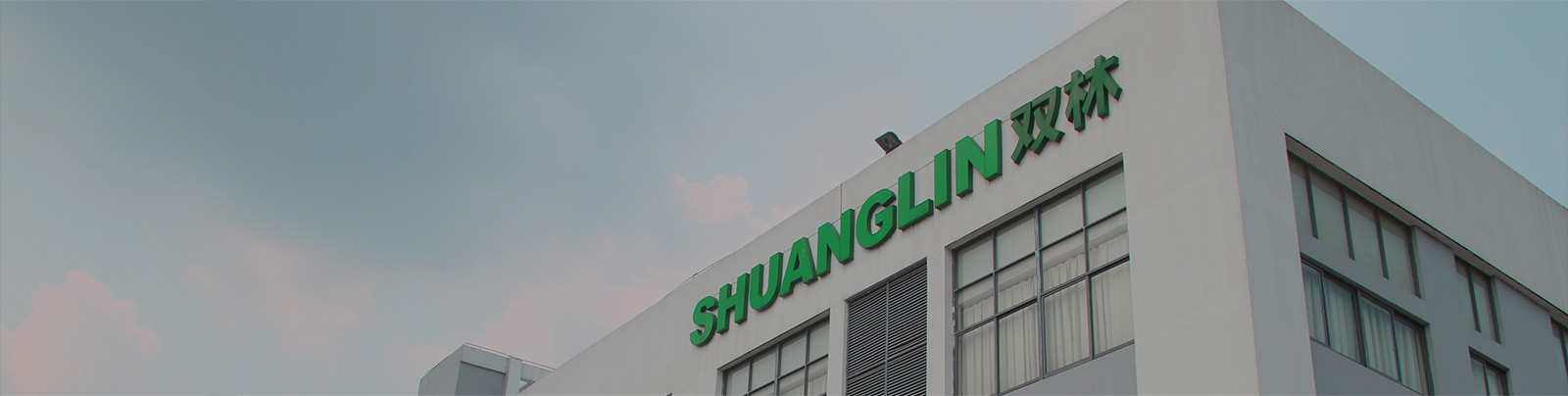 必发7790股份站群