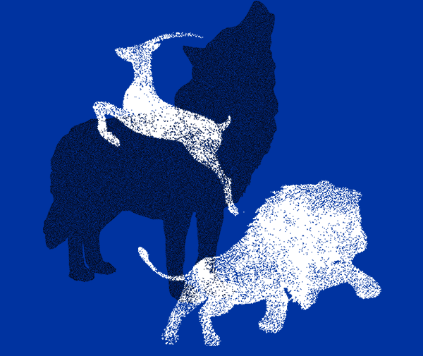 必发7790(中国区)电子集团-线上平台登录入口